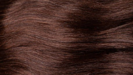 Shampoo Cubre Canas 400 ml