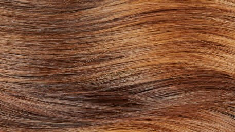 Shampoo Cubre Canas 400 ml