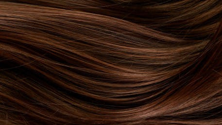 Shampoo Cubre Canas 400 ml